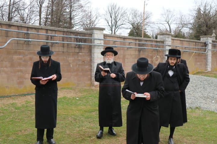 הילולא קדישא בסקולען