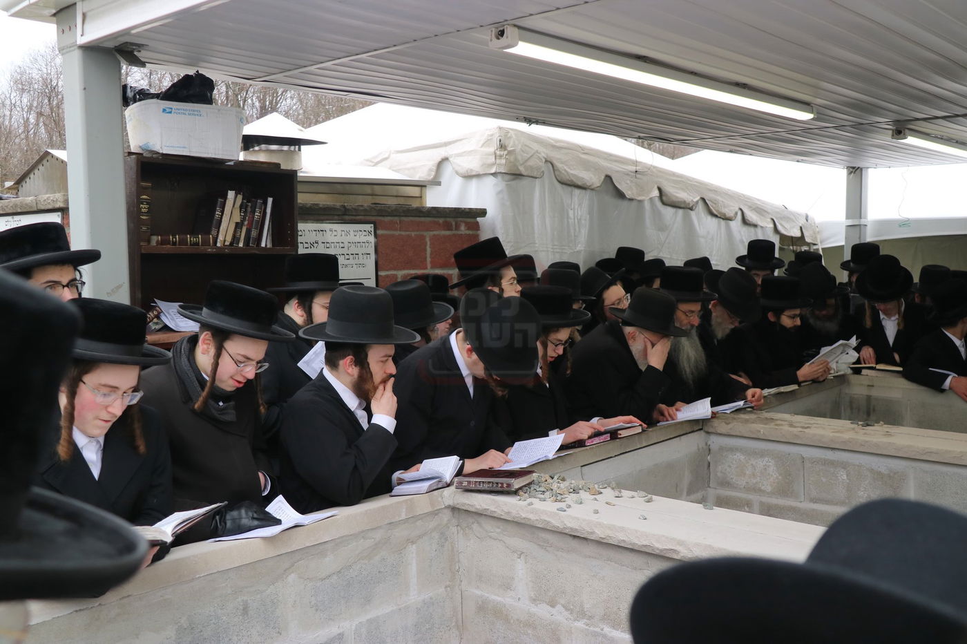 הילולא קדישא בסקולען