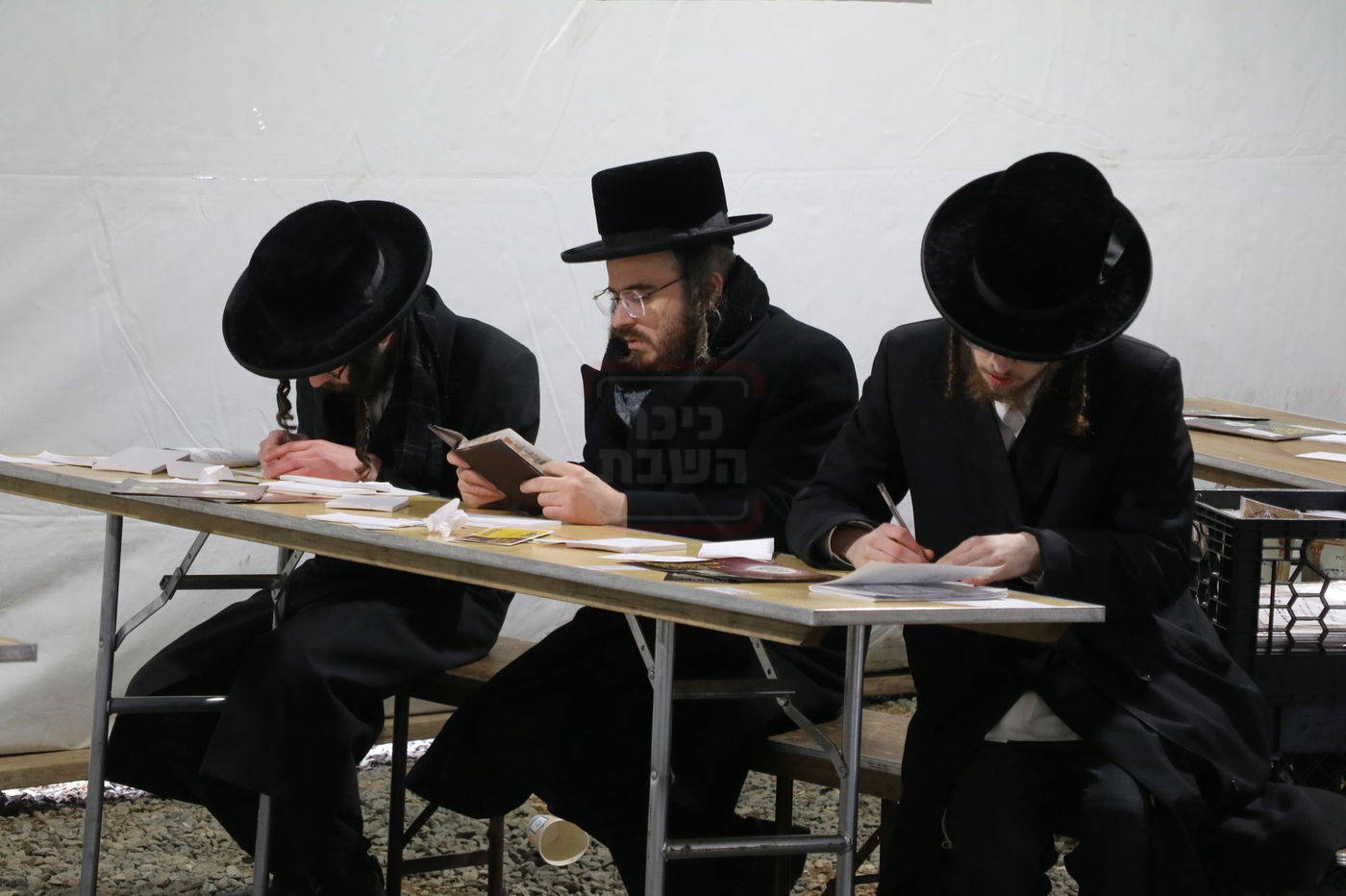 הילולא קדישא בסקולען