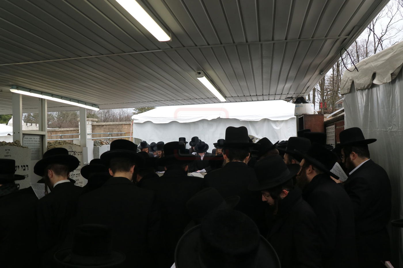 הילולא קדישא בסקולען