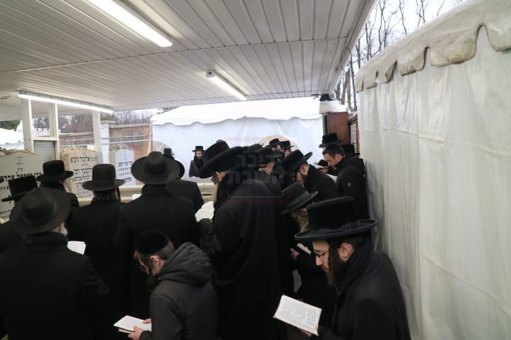 הילולא קדישא בסקולען