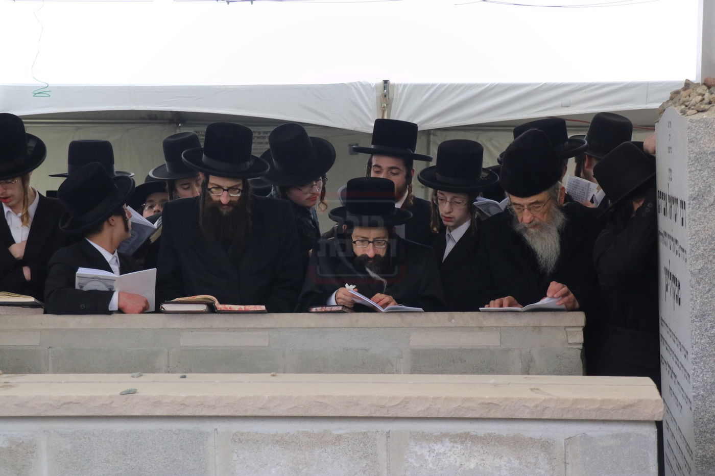 הילולא קדישא בסקולען