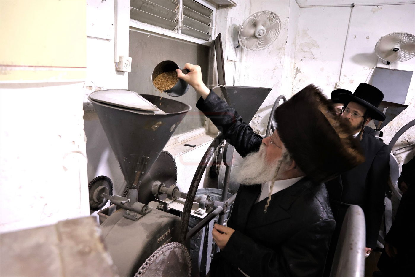 האדמו"ר מנדבורנה ירושלים בטחינת חיטים