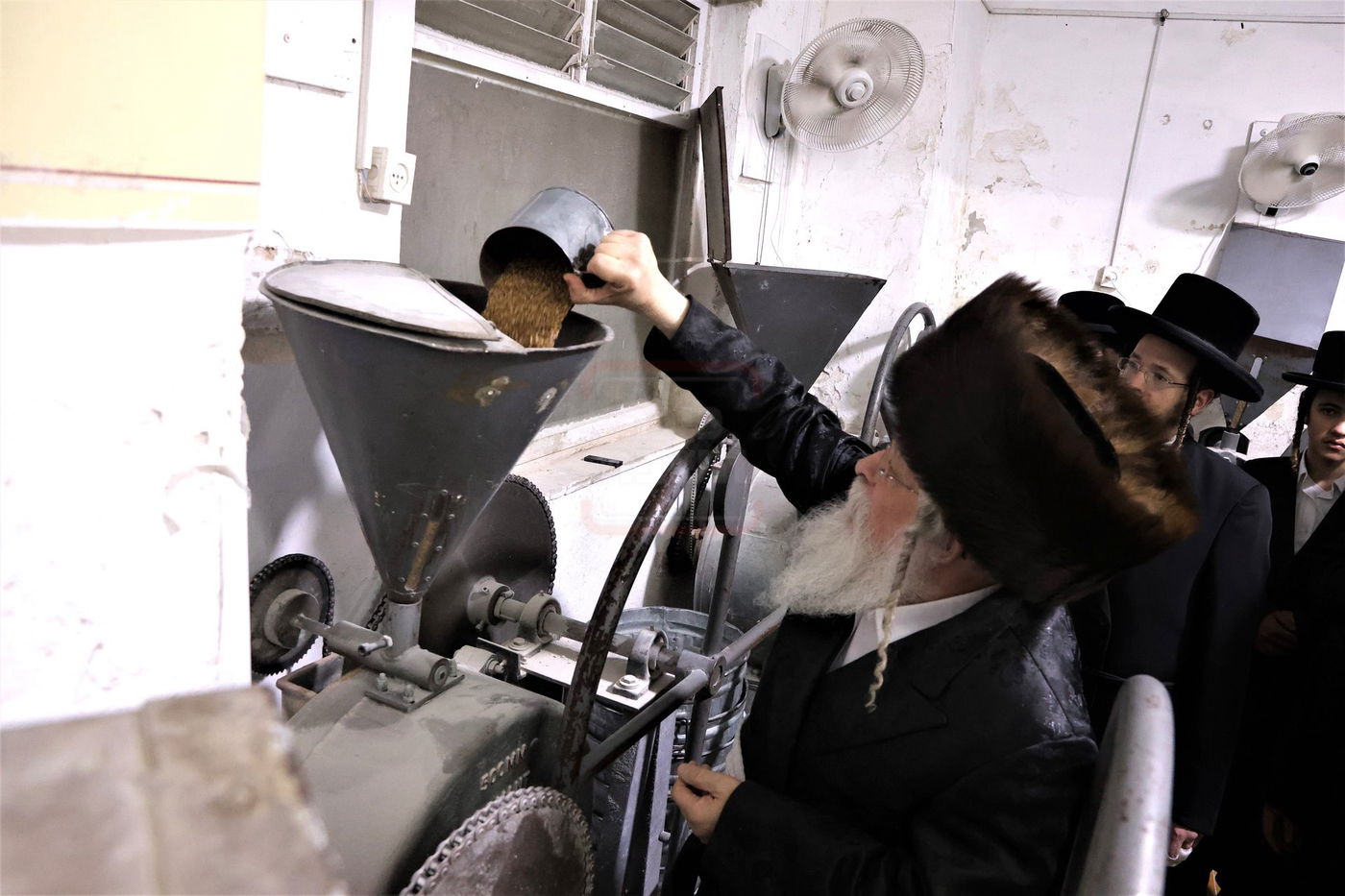 האדמו"ר מנדבורנה ירושלים בטחינת חיטים
