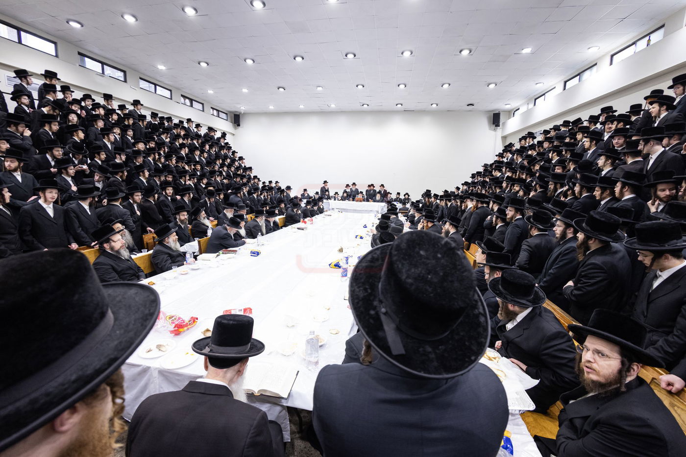 בר מצווה לנכד האדמו"ר מבאבוב