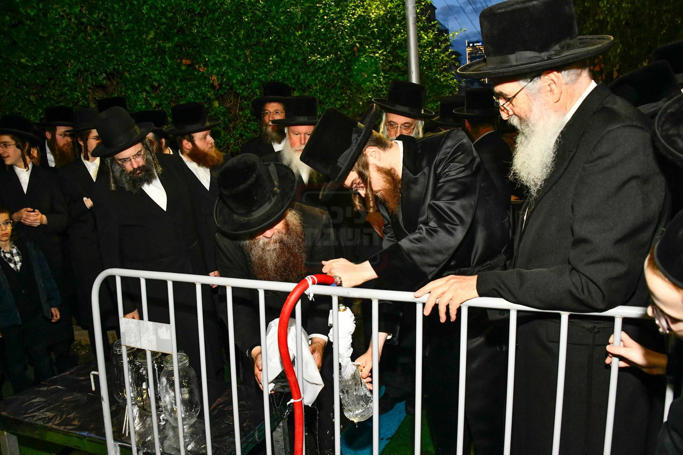 האדמו"ר מסאדיגורה במים שלנו