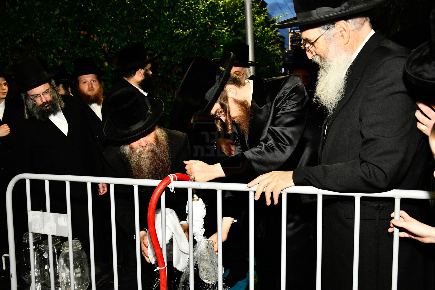 האדמו"ר מסאדיגורה במים שלנו