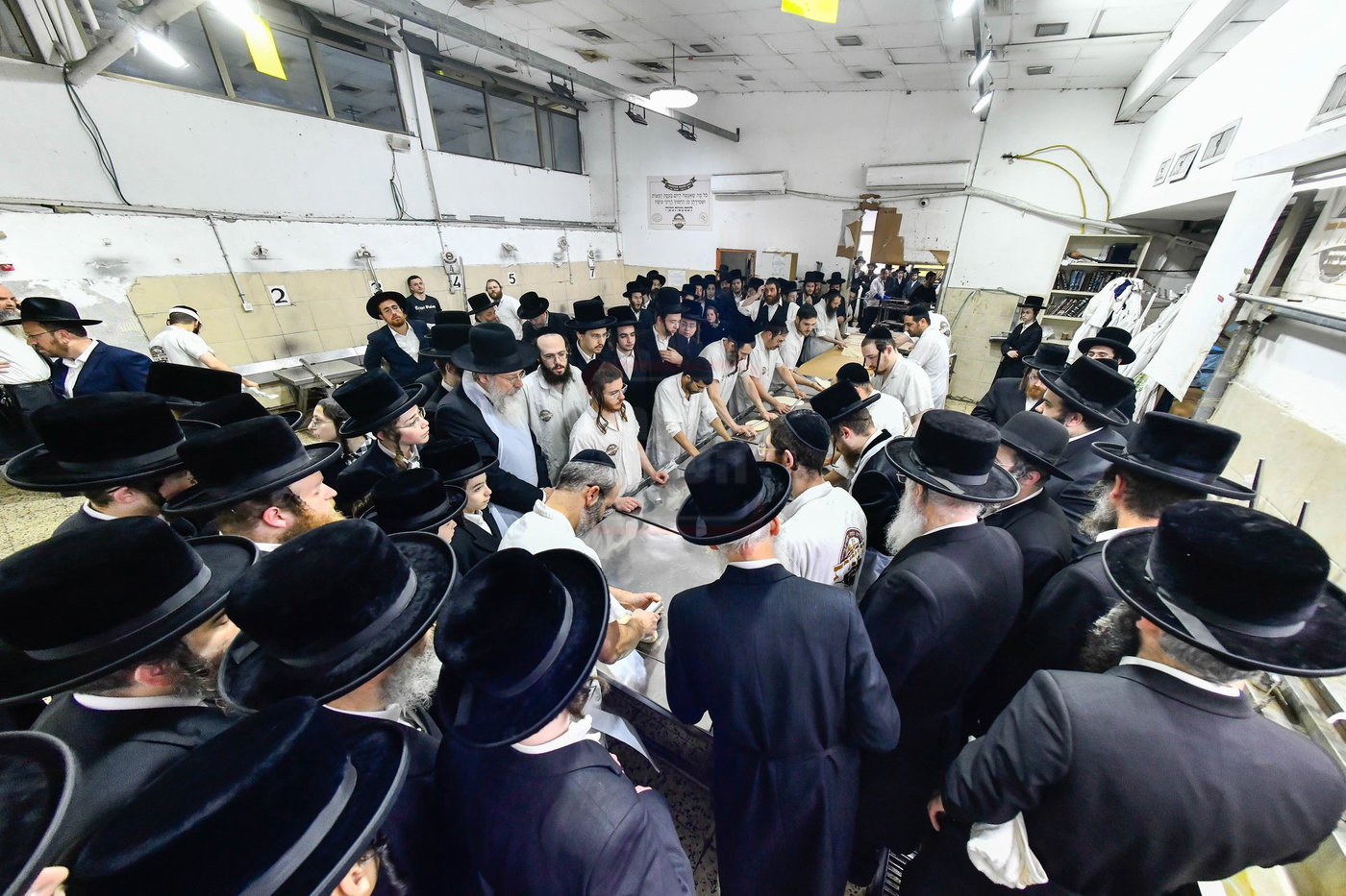 האדמו"ר מסאדיגורה באפיית המצות