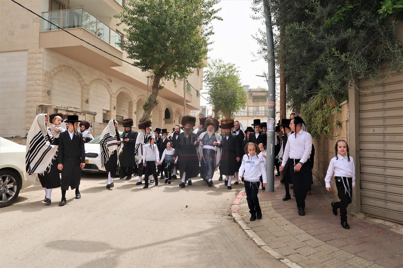 האדמו"ר מפרמישלאן בברכת האילנות