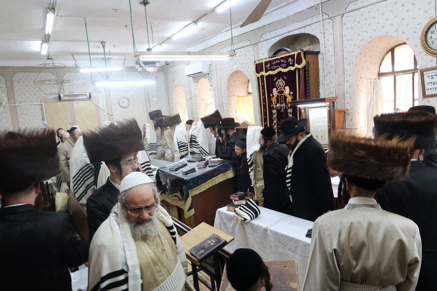 האדמו"ר ממבקשי אמונה בברכת האילנות