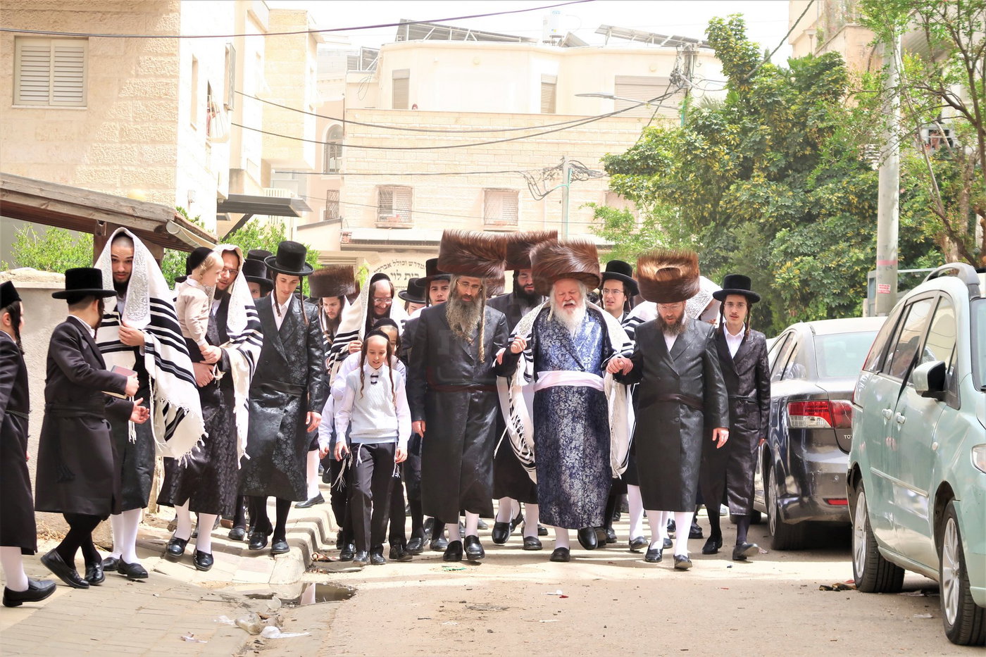 האדמו"ר מפרמישלאן בברכת האילנות