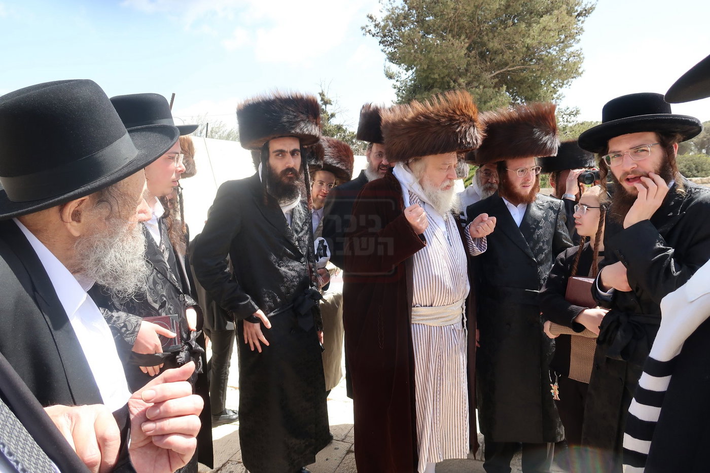 האדמו"ר ממבקשי אמונה בתפילה בהר הצופים