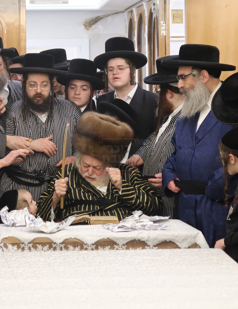 האדמו"ר מתולדות אברהם יצחק בבדיקת חמץ