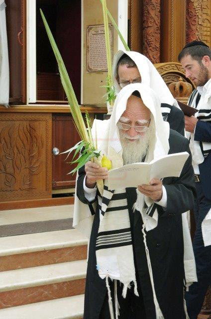 מראות חיי הגאון רבי אברהם אלטמן זצ"ל