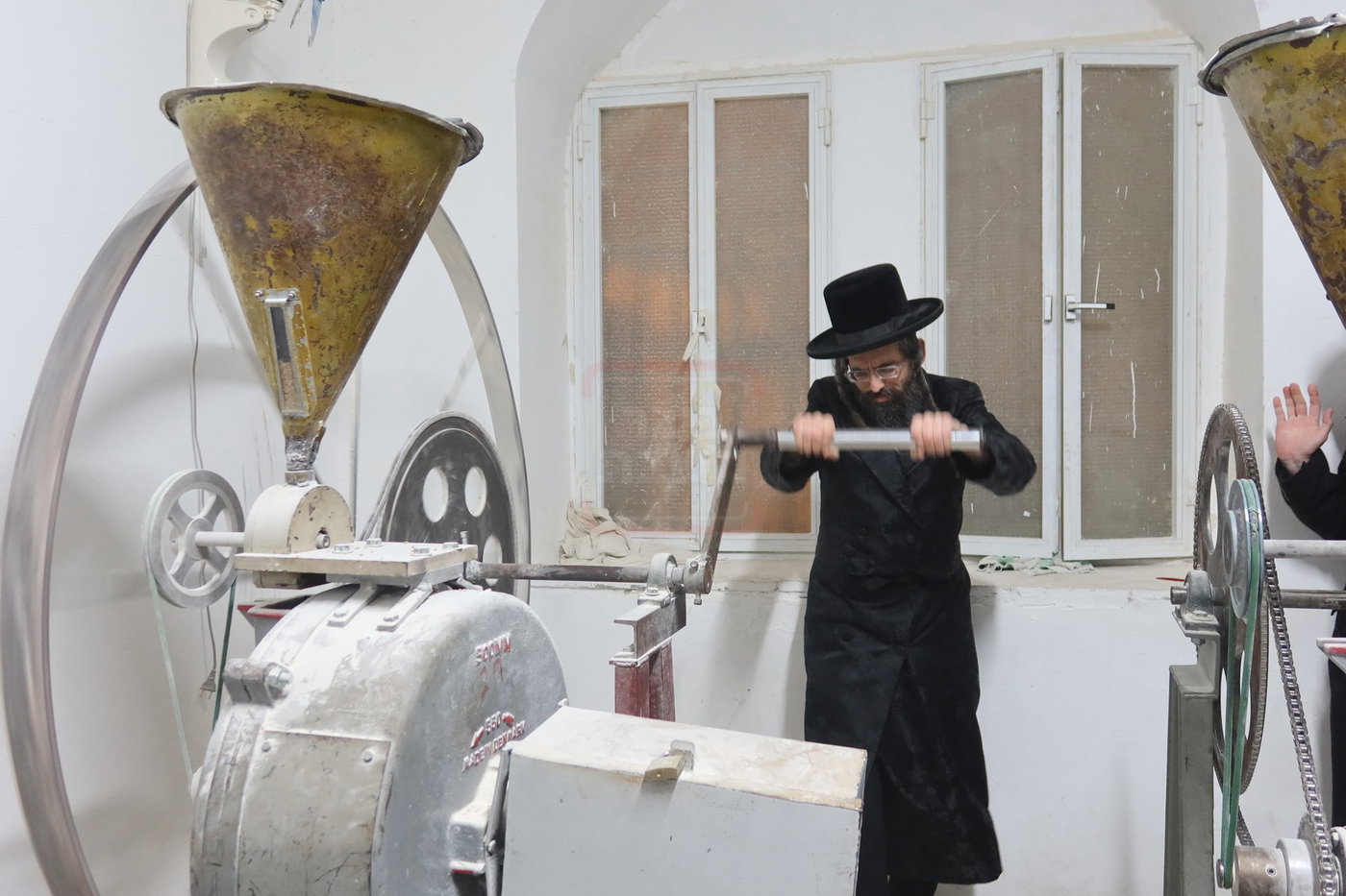 האדמו"ר מזוועהיל בטחינת חיטין