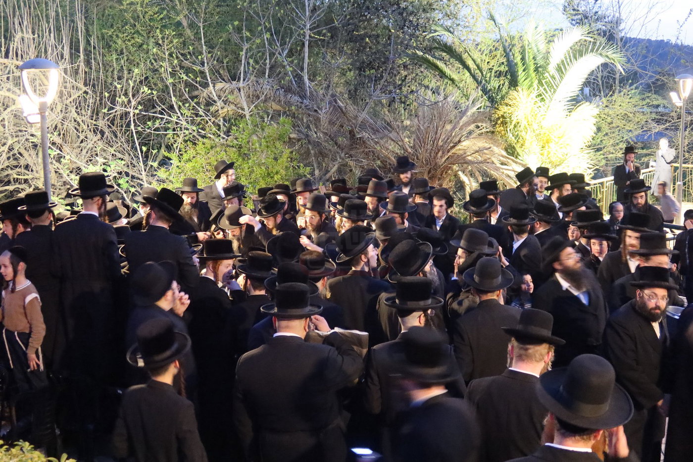 האדמו"ר מזוועהיל בשאיבת מים שלנו