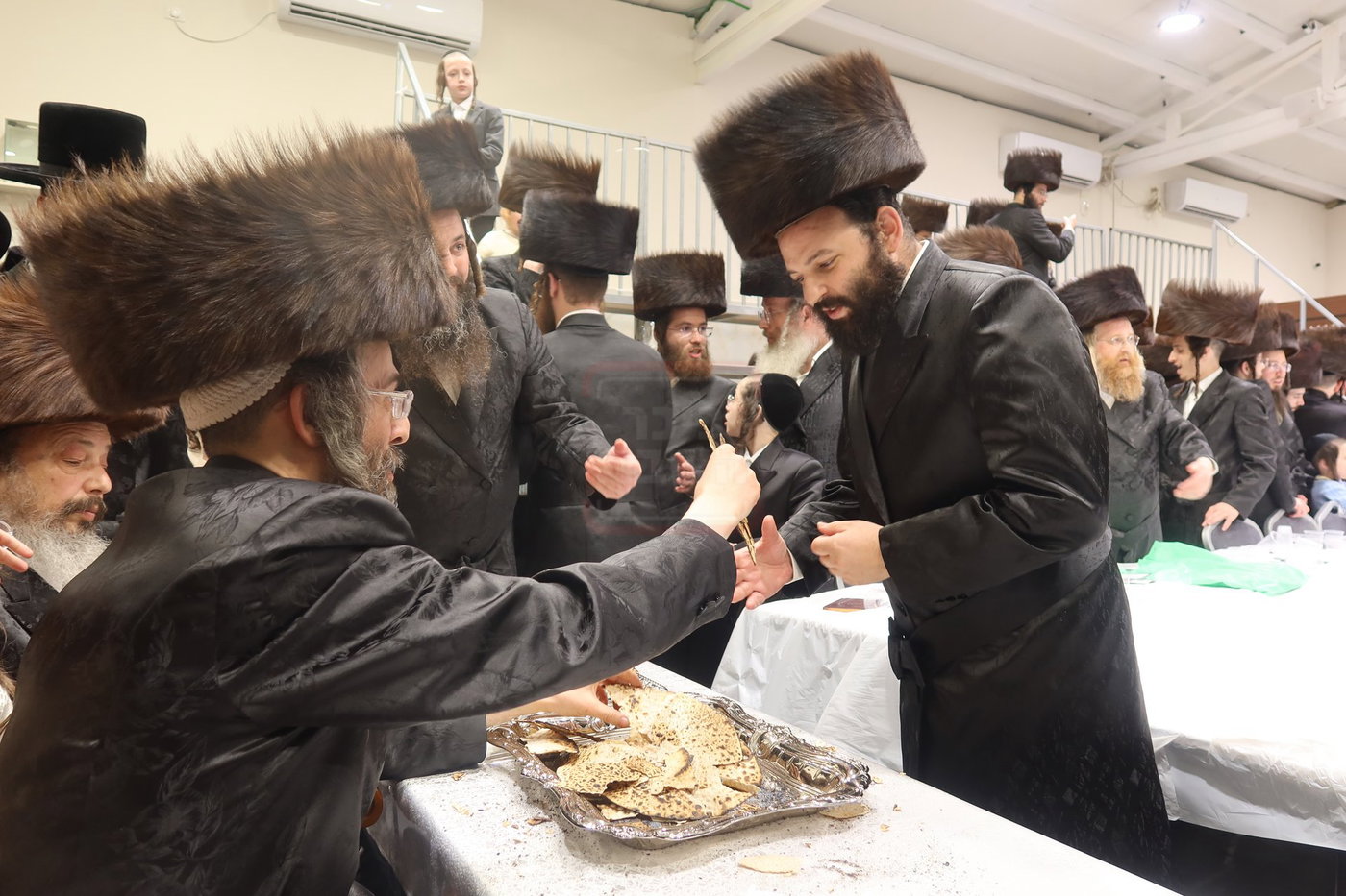 חג הפסח בחצה"ק זוועיהיל