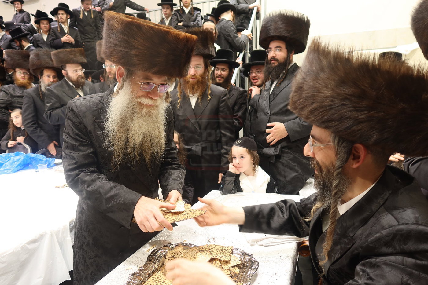 חג הפסח בחצה"ק זוועיהיל