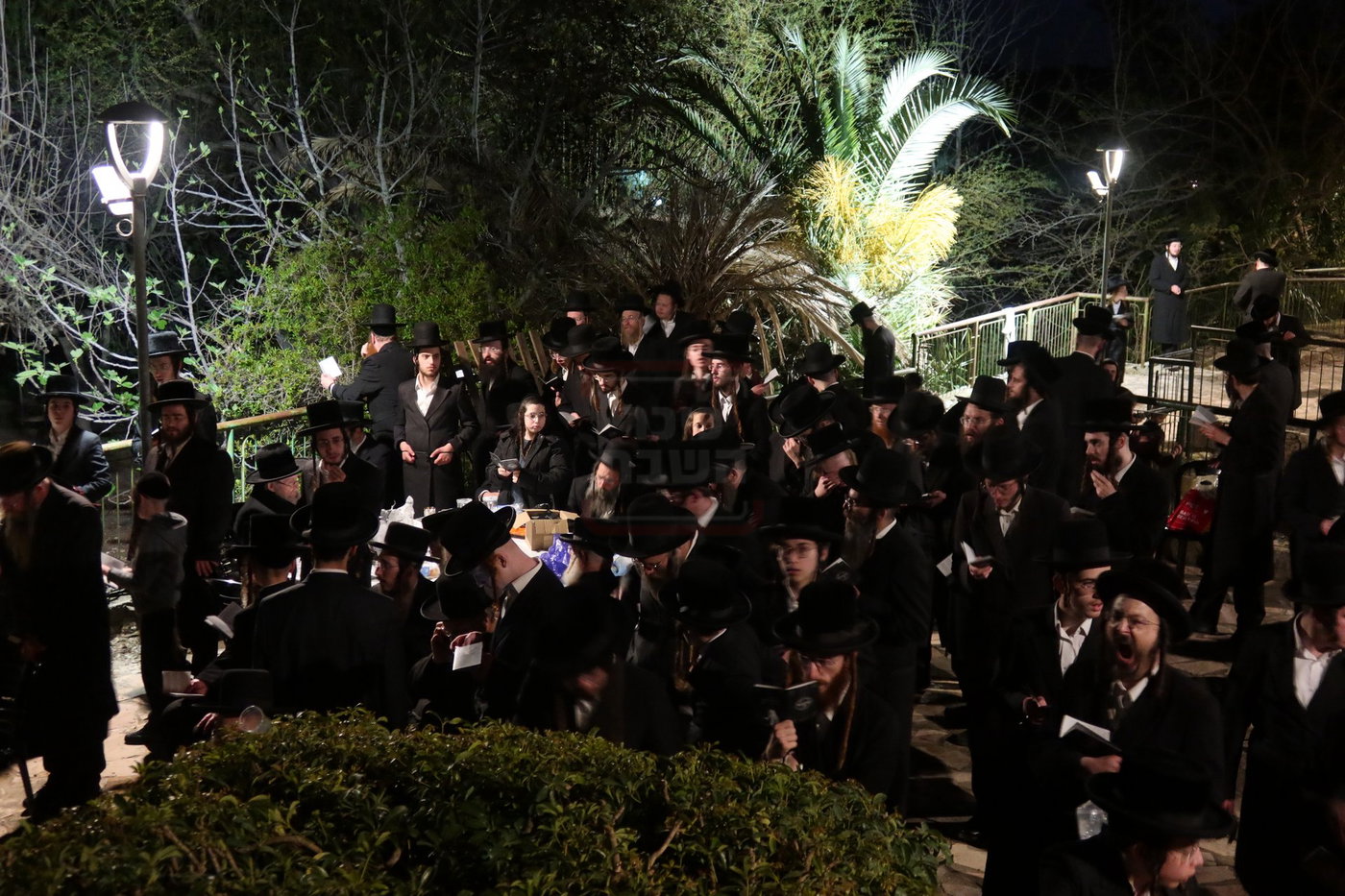 האדמו"ר מזוועהיל בשאיבת מים שלנו