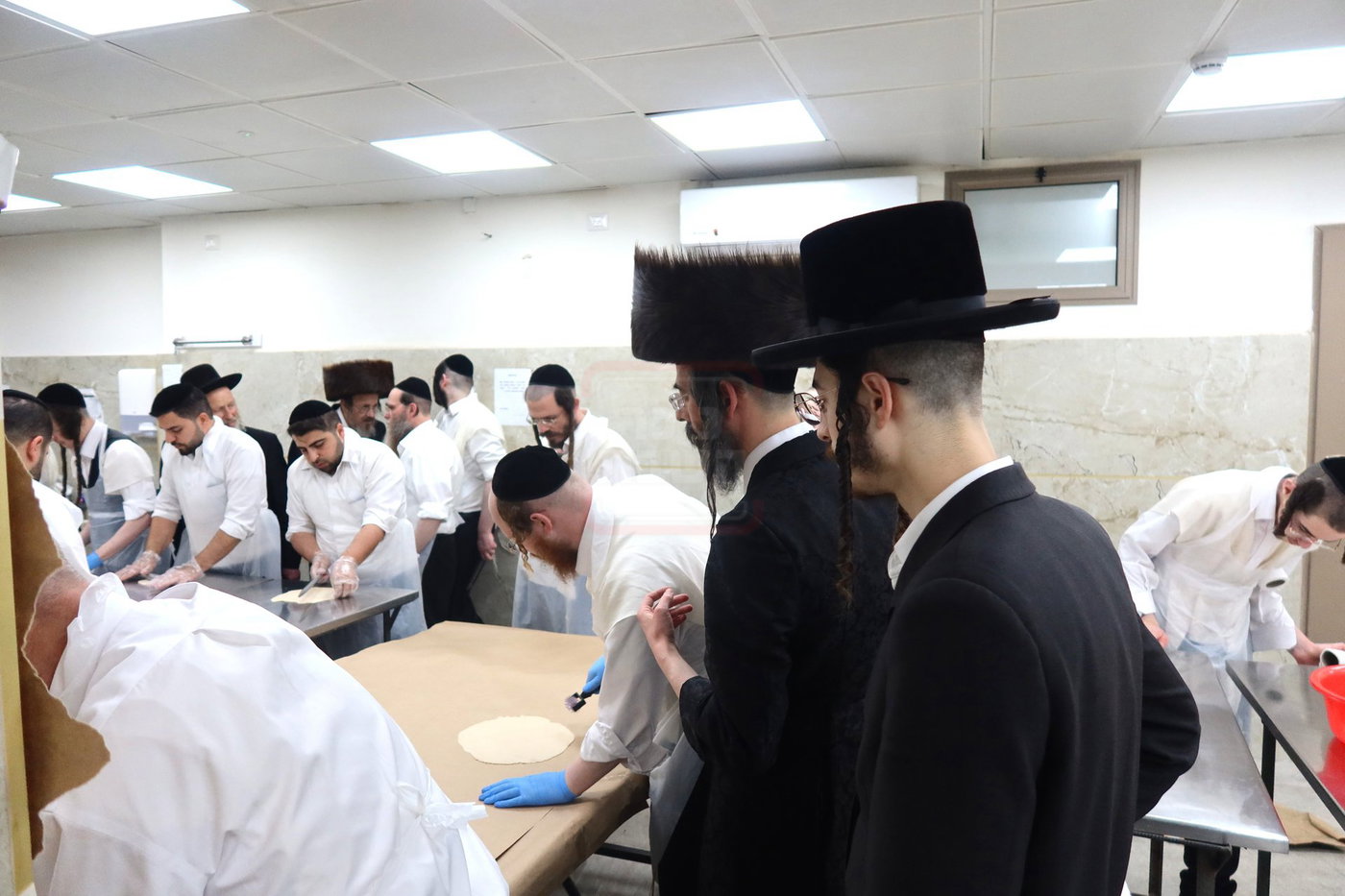 חג הפסח בחצה"ק זוועיהיל