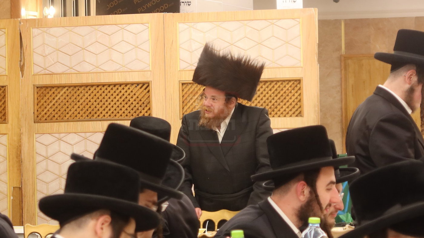 פעילות לבני חו"ל בבעלזא