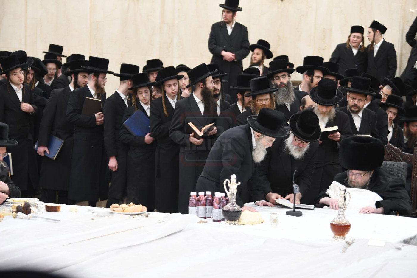 האדמו"ר מבעלזא בסיום בכורים בערב פסח