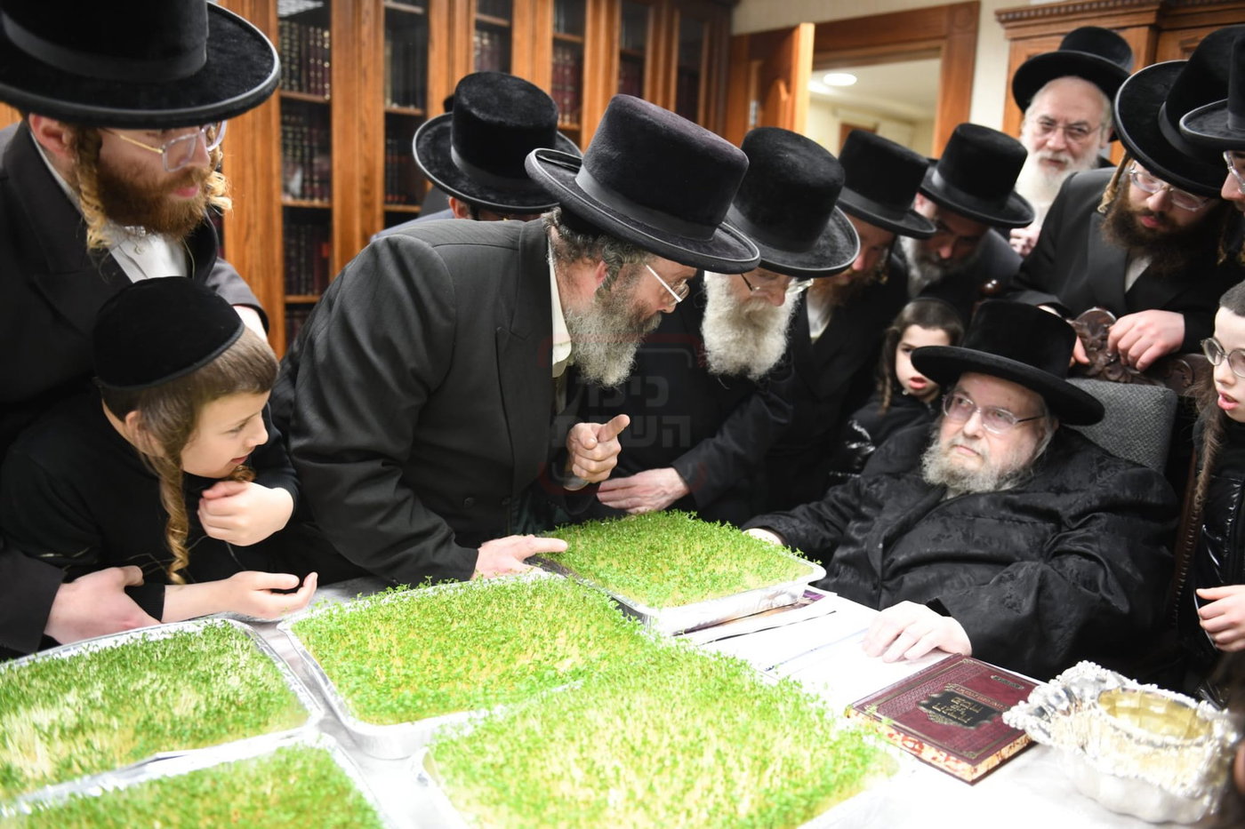 בהכנסת הזרזיך לליל הסדר