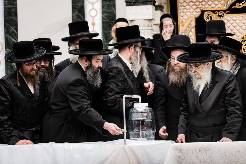 האדמו"ר מסאטמר בשאיבת מים שלנו