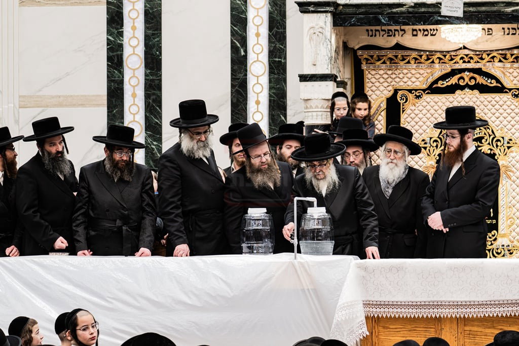 האדמו"ר מסאטמר בשאיבת מים שלנו