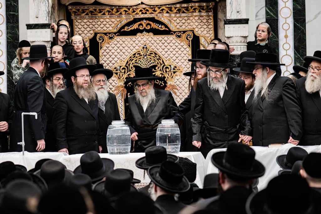 האדמו"ר מסאטמר בשאיבת מים שלנו