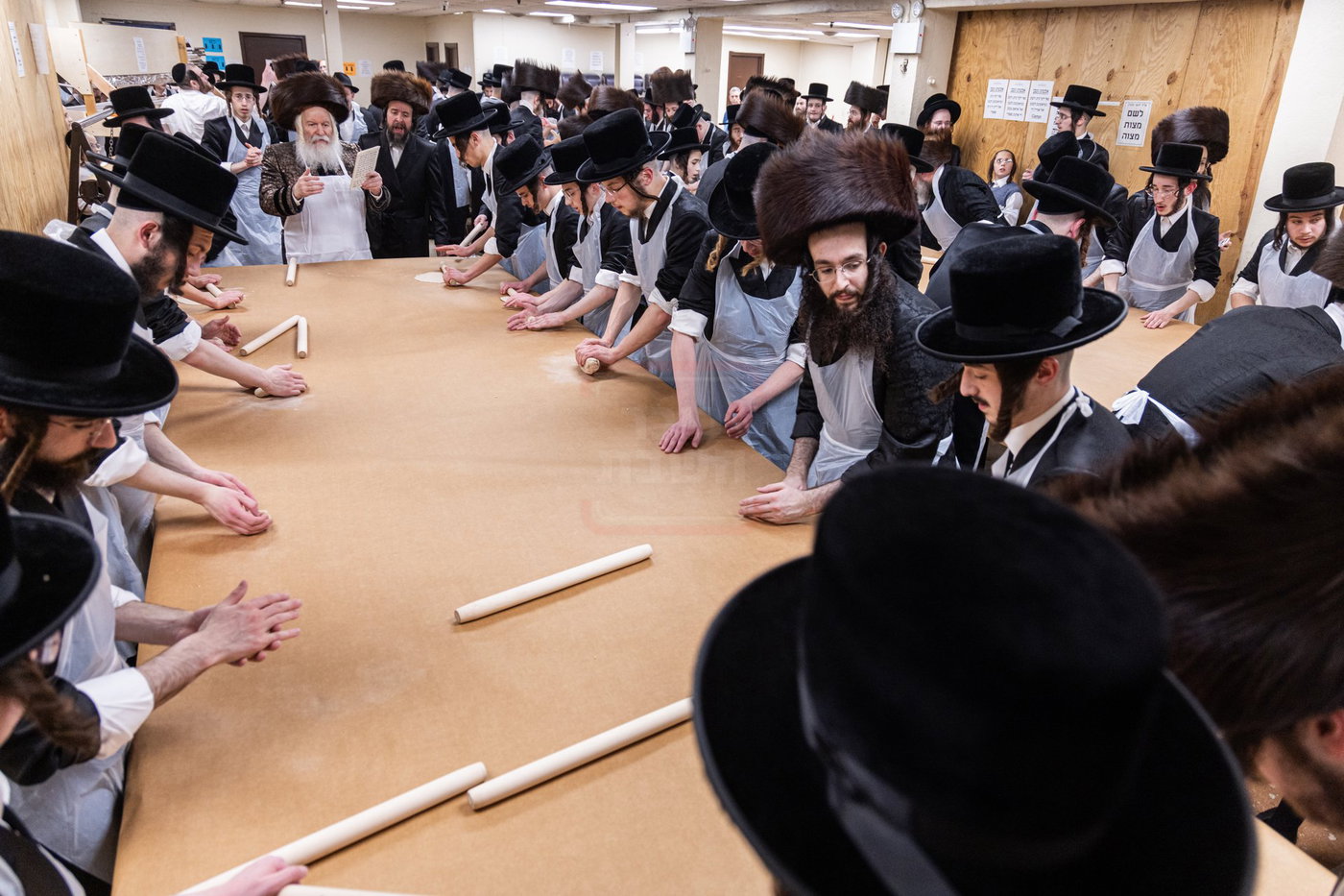 האדמו"ר מבאבוב באפיית מצות מצווה