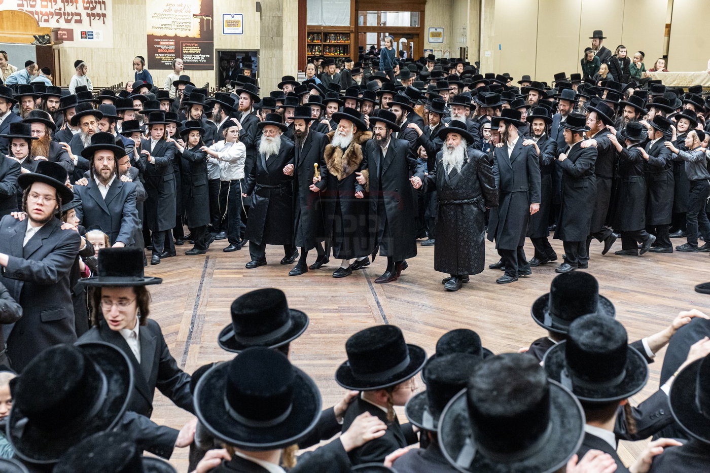 האדמו"ר מבאבוב במים שלנו