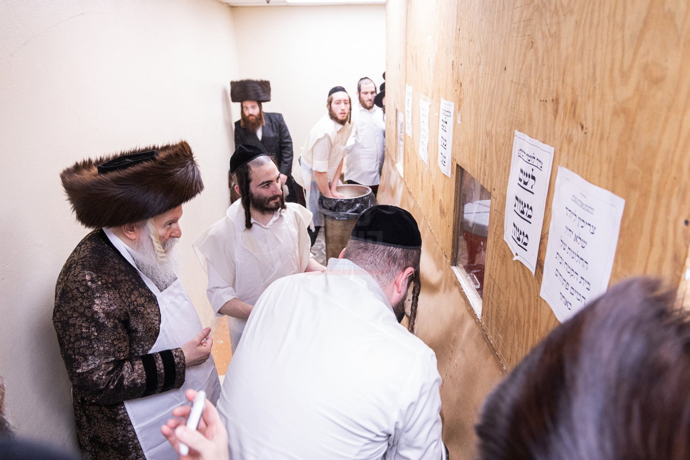 האדמו"ר מבאבוב באפיית מצות מצווה