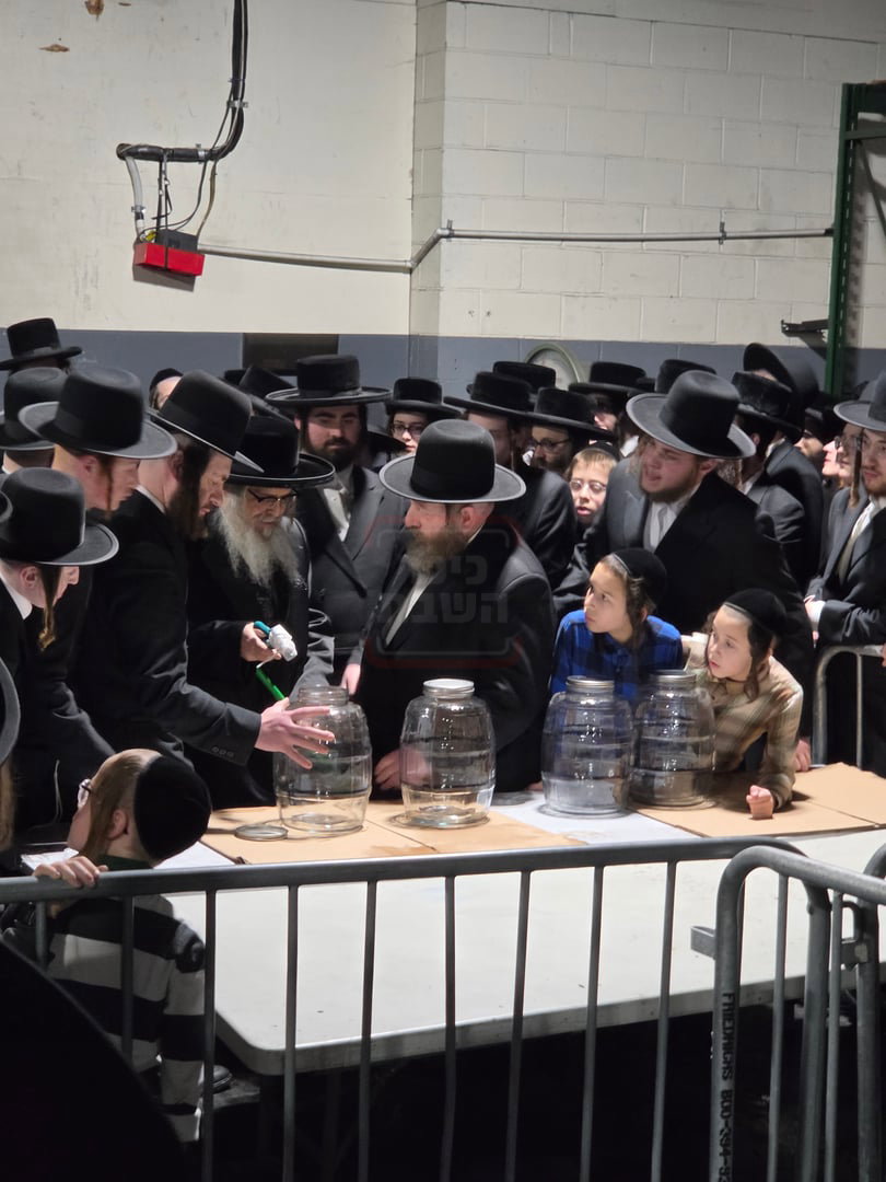 חג הפסח בחצה"ק סאטמר