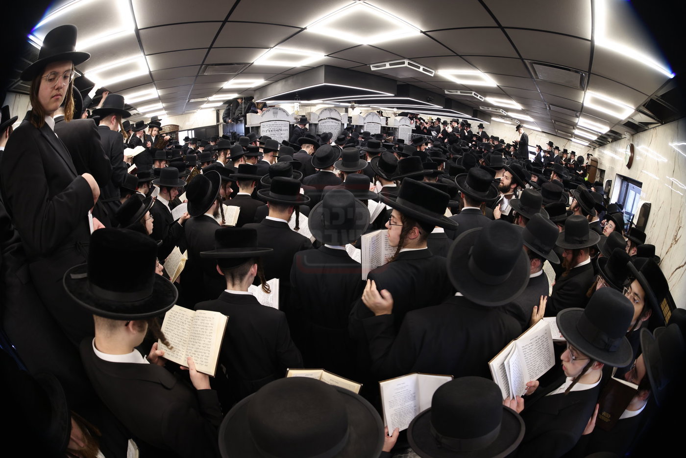 הילולא קדישא בסאטמר