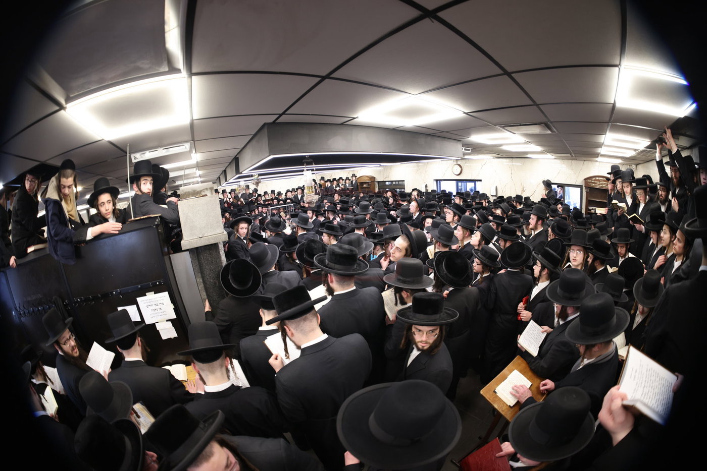 הילולא קדישא בסאטמר