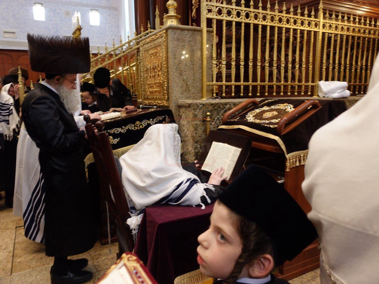 שמחת הברית בחצה"ק בעלזא