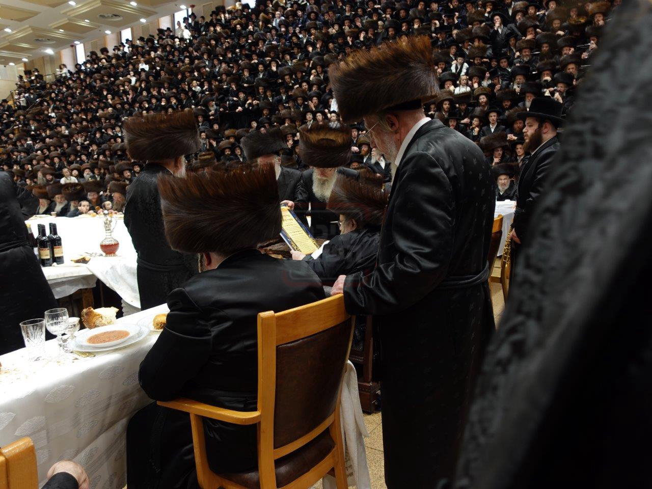 שמחת הברית בחצה"ק בעלזא