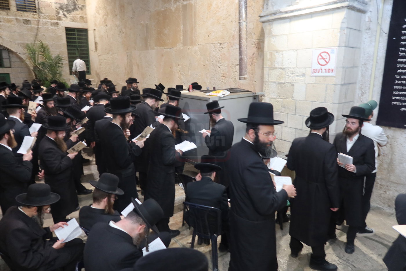 חסידי זוועהיל בעיר האבות חברון