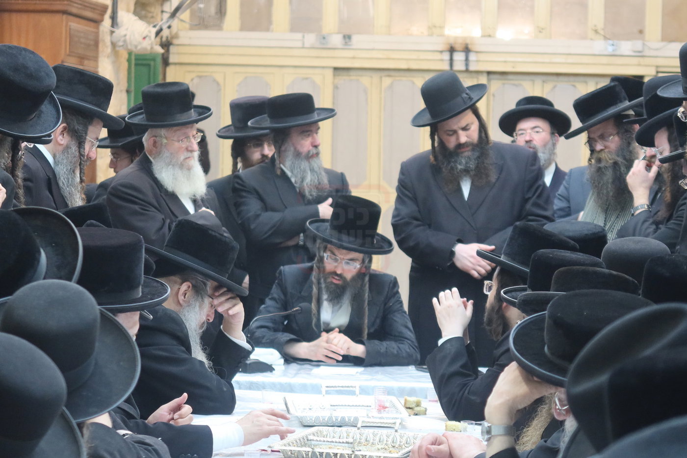 חסידי זוועהיל בעיר האבות חברון