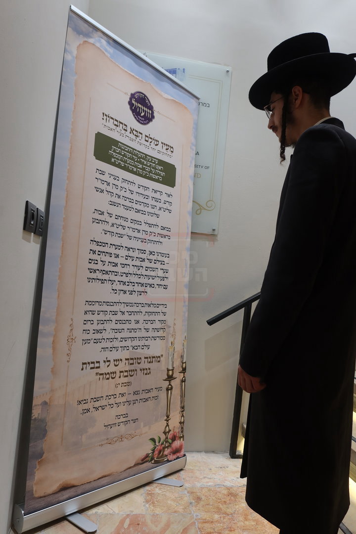 חסידי זוועהיל בעיר האבות חברון