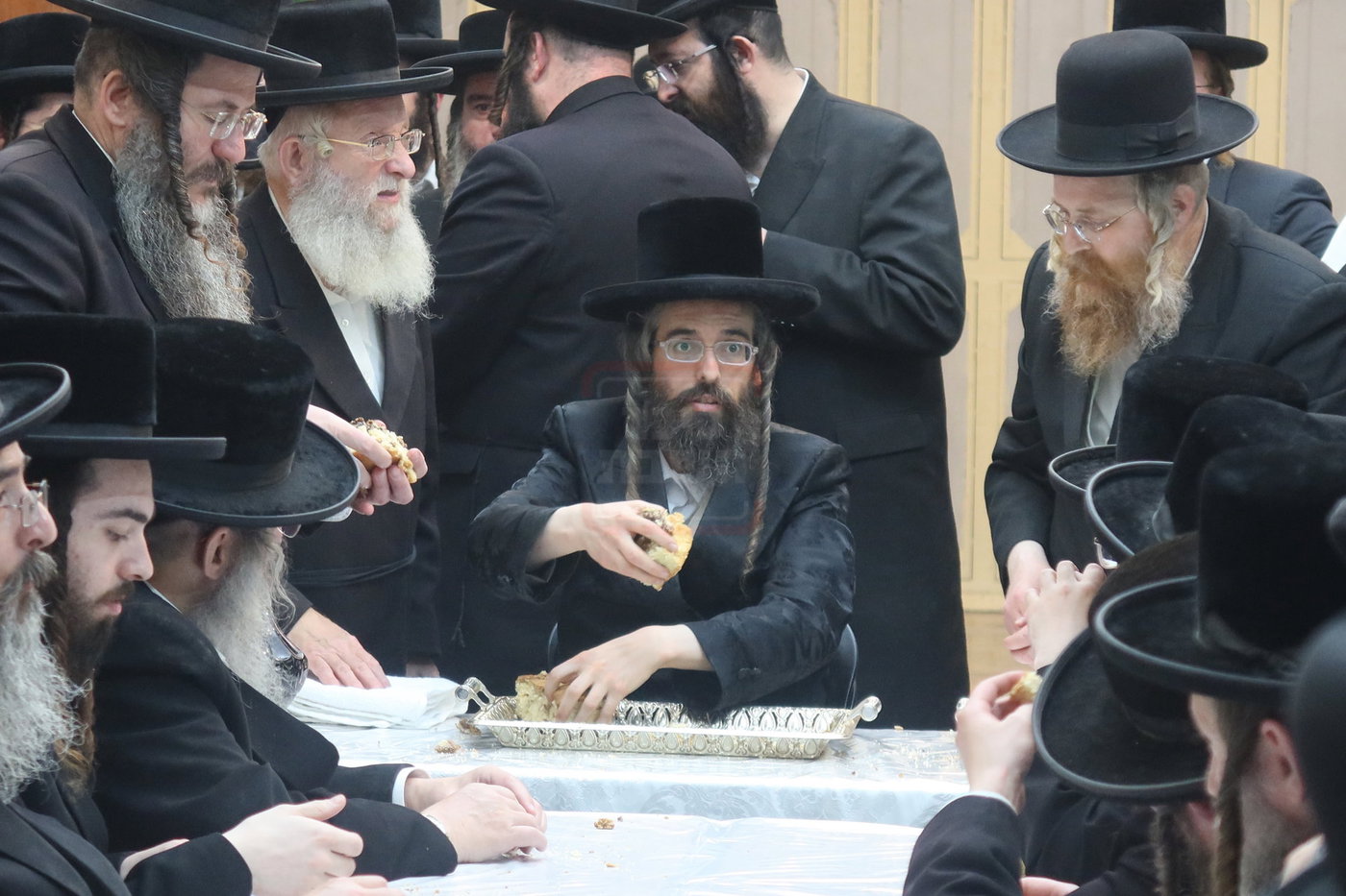 חסידי זוועהיל בעיר האבות חברון