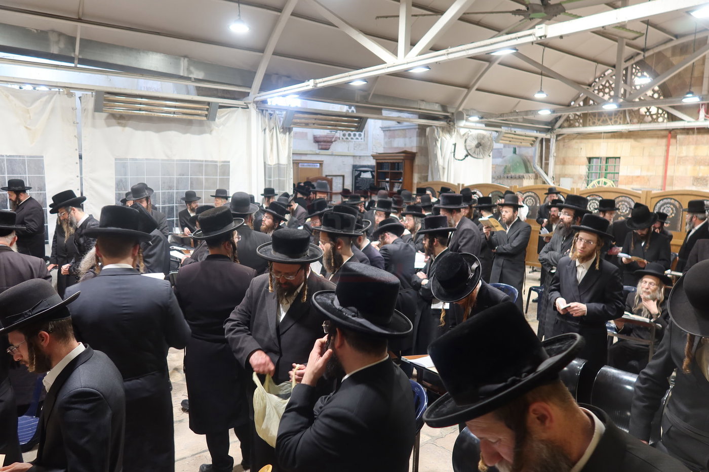 חסידי זוועהיל בעיר האבות חברון