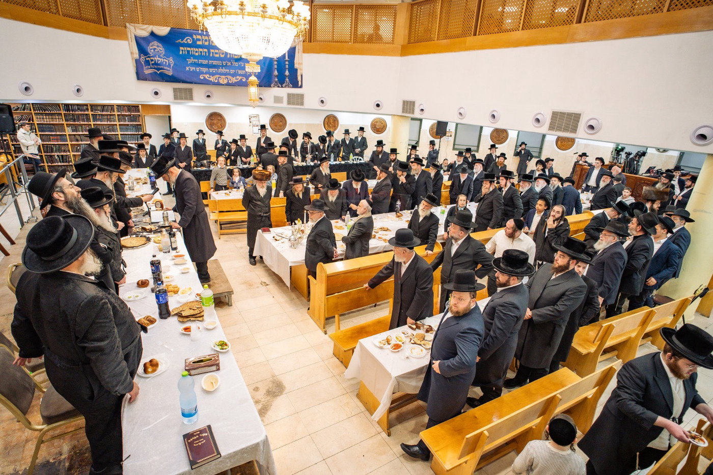 הילולא קדישא בקאליב