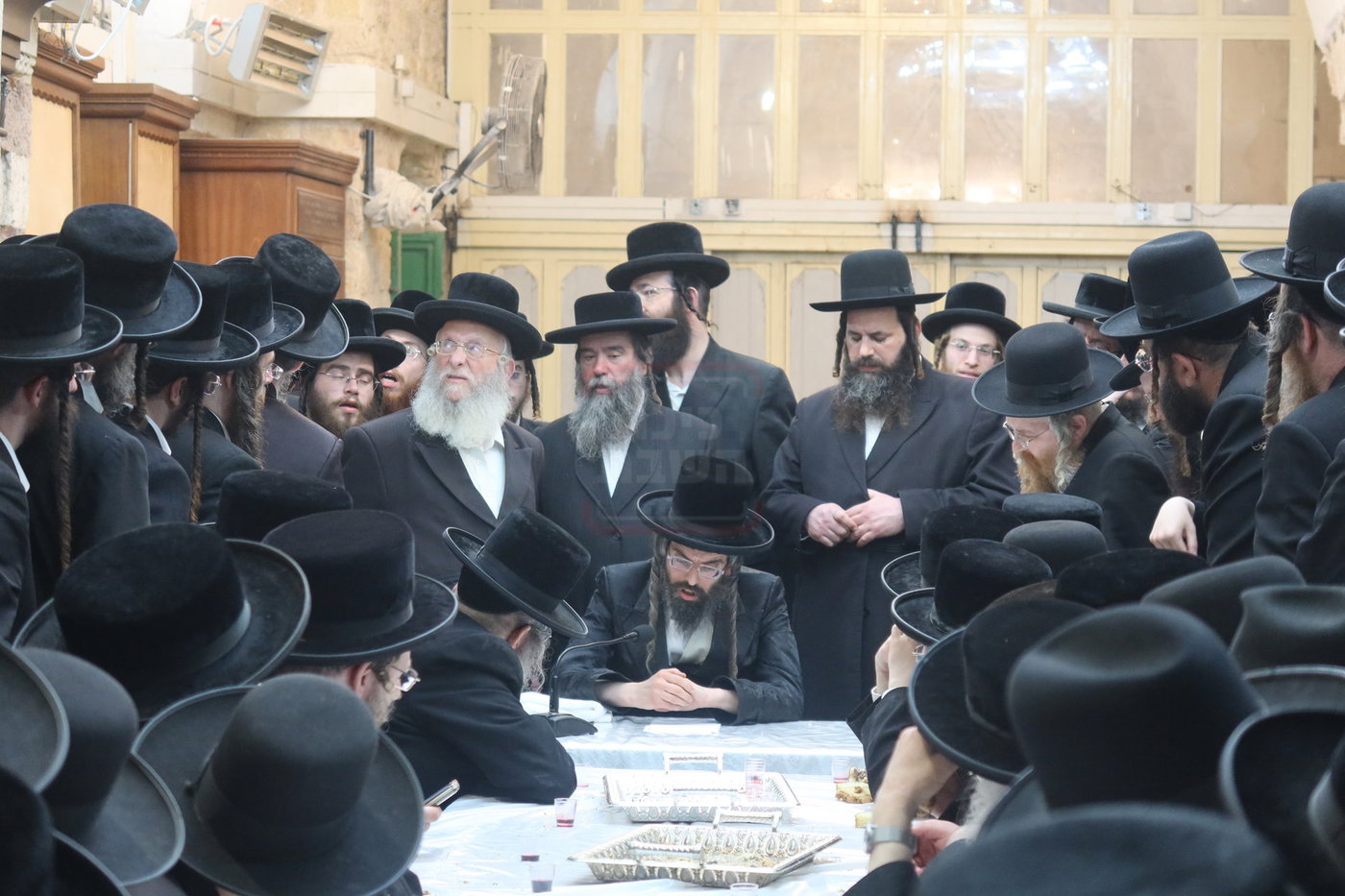 חסידי זוועהיל בעיר האבות חברון