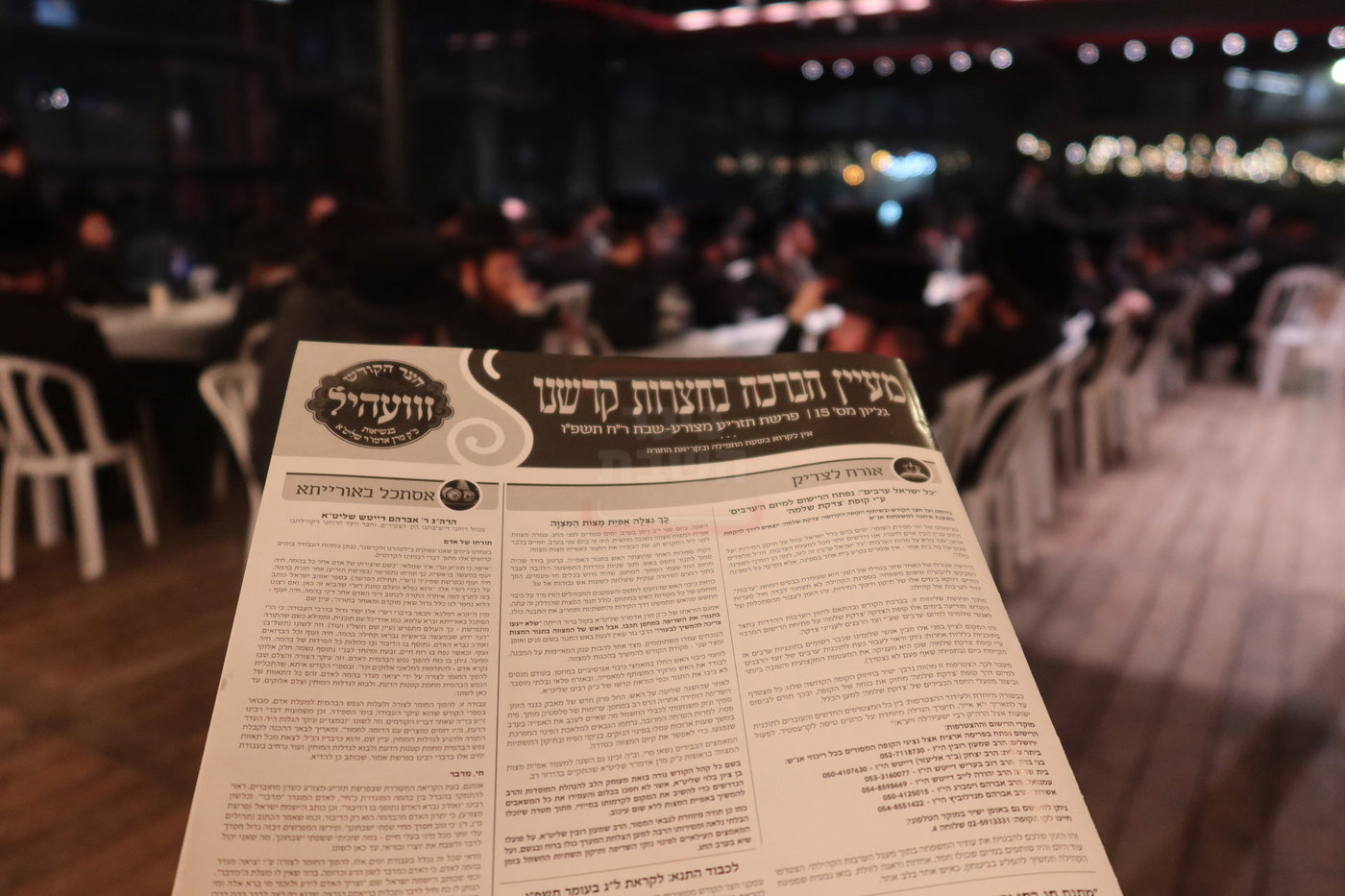 חסידי זוועהיל בעיר האבות חברון