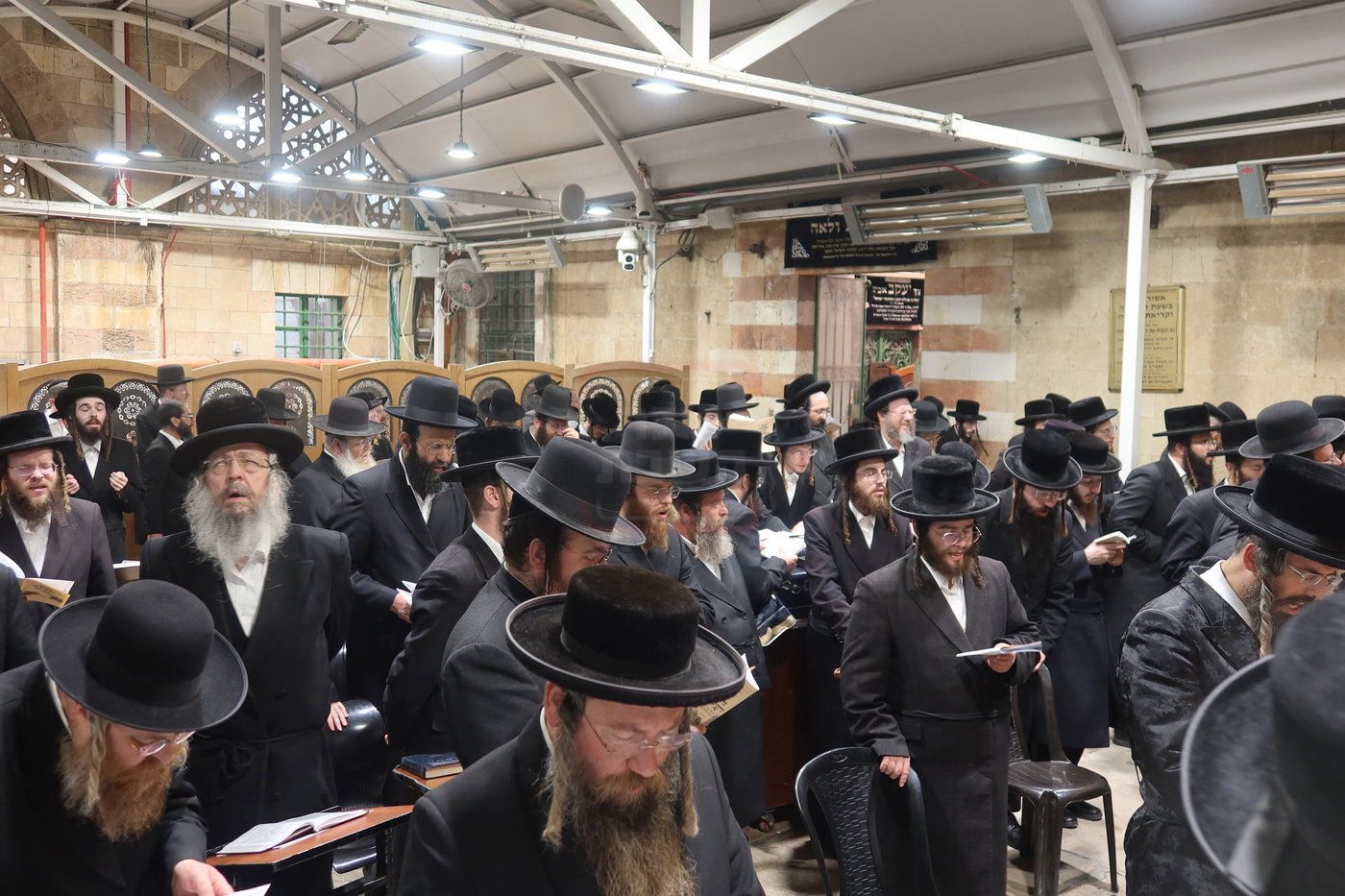 חסידי זוועהיל בעיר האבות חברון