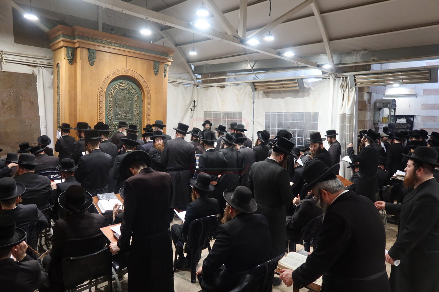 חסידי זוועהיל בעיר האבות חברון