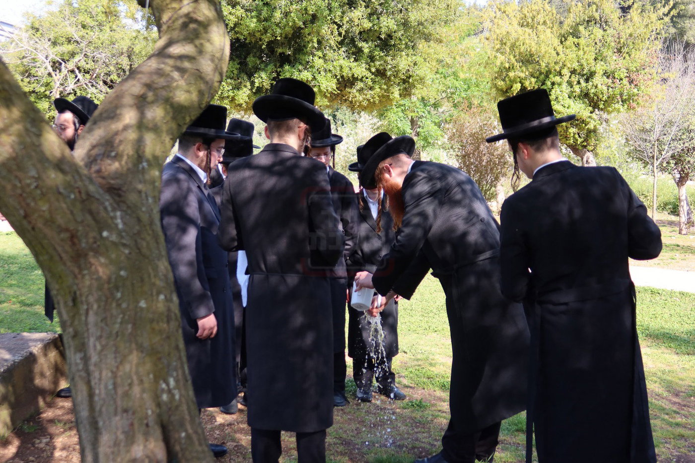 האדמו"ר מקאליב בסיור בשומרון