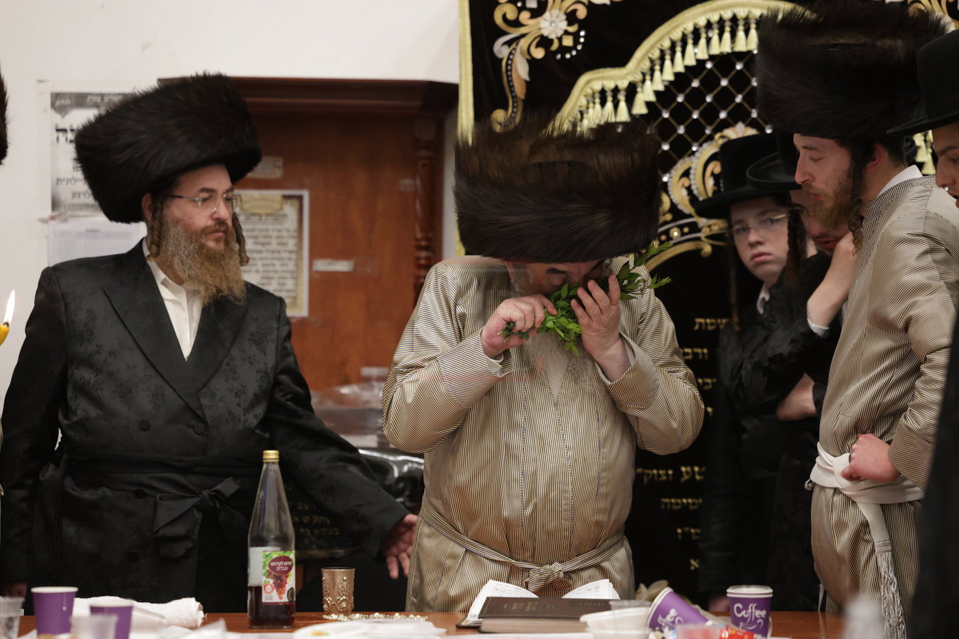 האדמו"ר מלעלוב מוצאי שב"ק בצפת